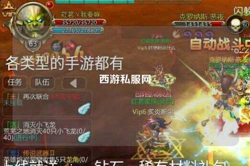 西游私服网
