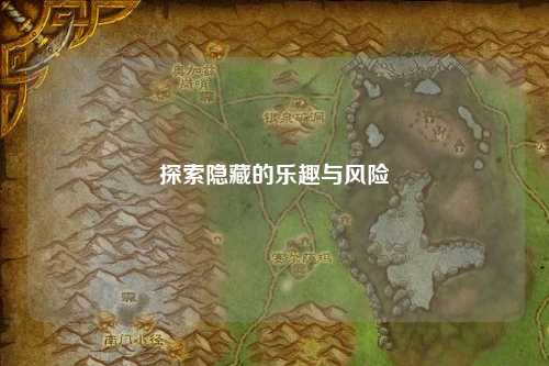 探索隐藏的乐趣与风险