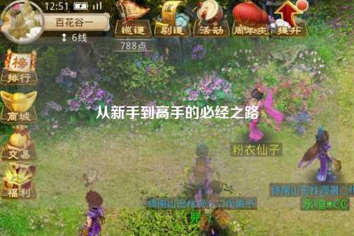 从新手到高手的必经之路