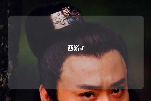 西游sf