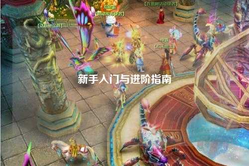 新手入门与进阶指南