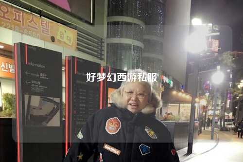 好梦幻西游私服