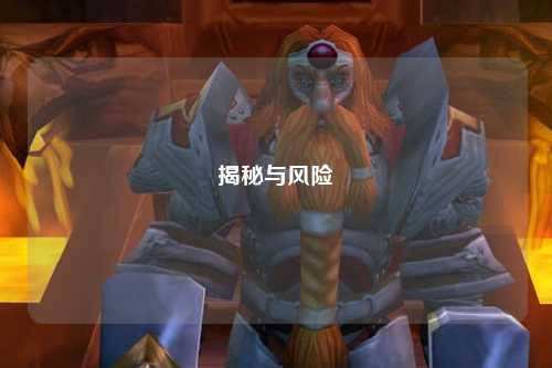 揭秘与风险