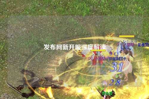 发布网新开服深度解读