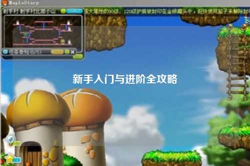 新手入门与进阶全攻略