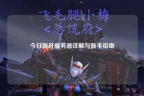 今日新开服务器详解与新手指南