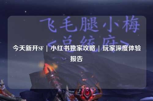 今天新开SF | 小红书独家攻略 | 玩家深度体验报告